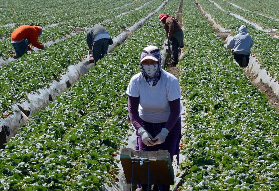 OIT advierte crisis de pobreza de trabajadores migrantes por COVID-19