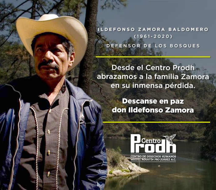 Falleció Ildefonso Zamora, histórico defensor de los bosques