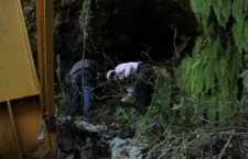 IMAGEN DEL DÍA | Brigada nacional de búsqueda halla en Yecapixtla un resto óseo