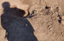 IMAGEN DEL DÍA | Madres hallan fosa clandestina con 8 cuerpos en Hermosillo, Sonora