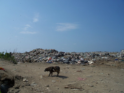 Otro basurero afectará el sur de Veracruz