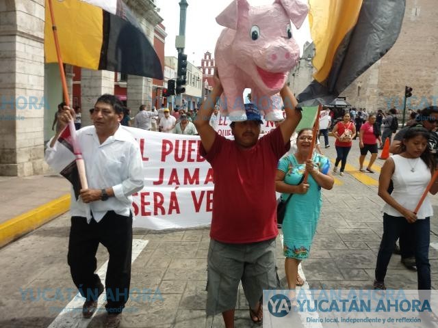 Ratifican rechazo a granja porcícola en zona de cenotes en Yucatán; acusan parcialidad de autoridades