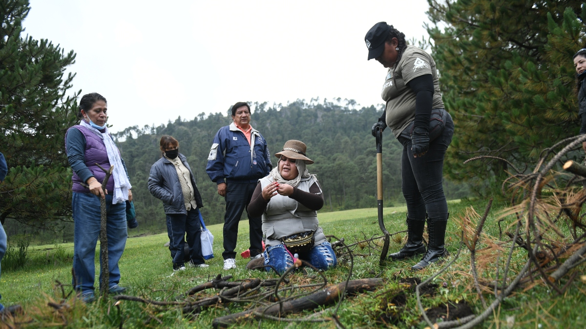 Familiares de personas desaparecidas encuentran restos óseos en el Ajusco, CDMX