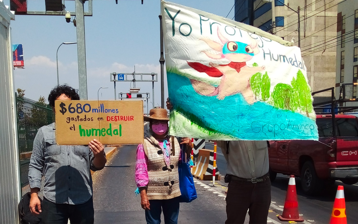 IMAGEN DEL DÍA | “Todavía estamos a tiempo de detener este ecocidio”: activistas exigen proteger humedal en Xochimilco