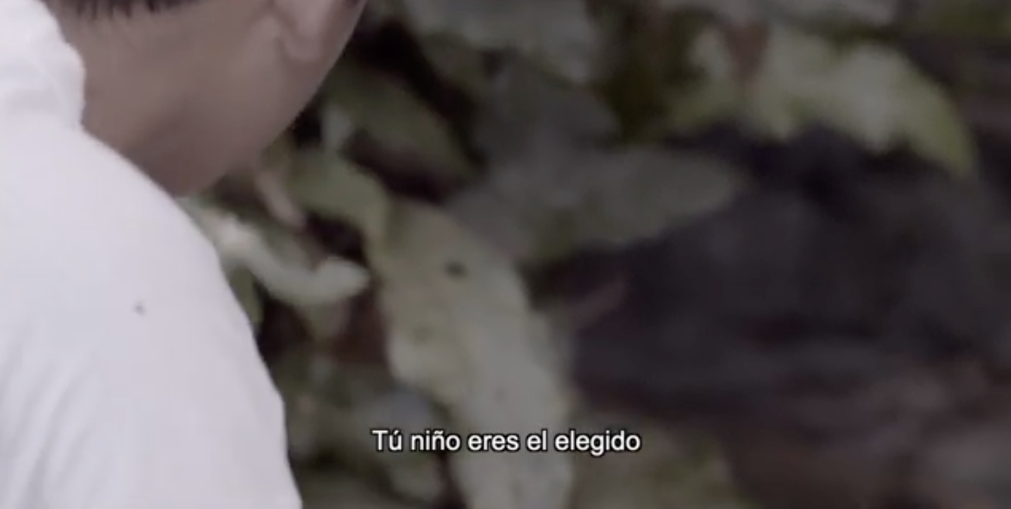 VIDHEO | Ka’nan Ts’onot, Guardianes de los Cenotes