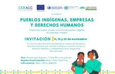 EN AGENDHA | Talleres virtuales «Pueblos Indígenas, Empresas y Derechos Humanos»