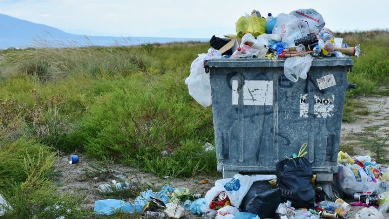 Mal Día En La Lucha Contra La Contaminación Por Plásticos Lamenta