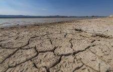 FRASE DEL DÍA | “Su propósito es sacar utilidades de muy corto plazo y cuando aquí ya no hay agua, se van a otro lado”: defensores del agua en Coahuila