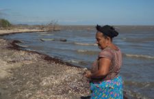 FRASE DEL DÍA | “Si no hay justicia social, tampoco habría justicia ambiental”: mujeres del Istmo