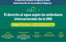 EN AGENDHA |  Seminario Internacional Permanente: El derecho humano al agua y la libre determinación de los pueblos indígenas