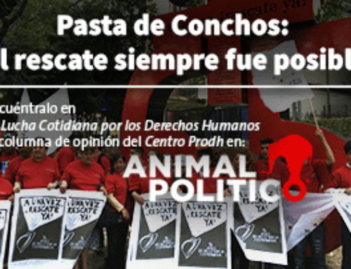 Pasta de conchos: el rescate siempre fue posible