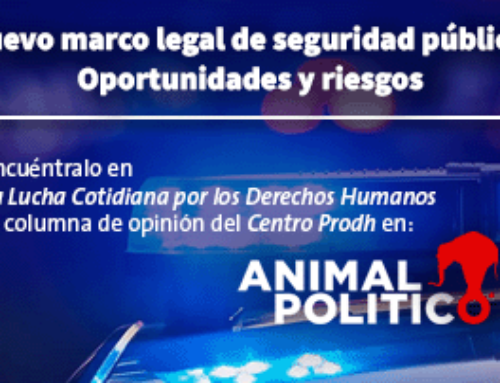 Nuevo marco legal de seguridad pública: oportunidades y riesgos