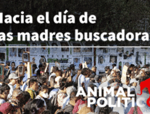 Hacia el día de las madres buscadoras
