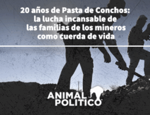 20 años de Pasta de Conchos: la lucha incansable de las familias de los mineros como cuerda de vida