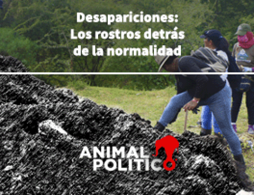 Desapariciones: Los rostros detrás de la normalidad